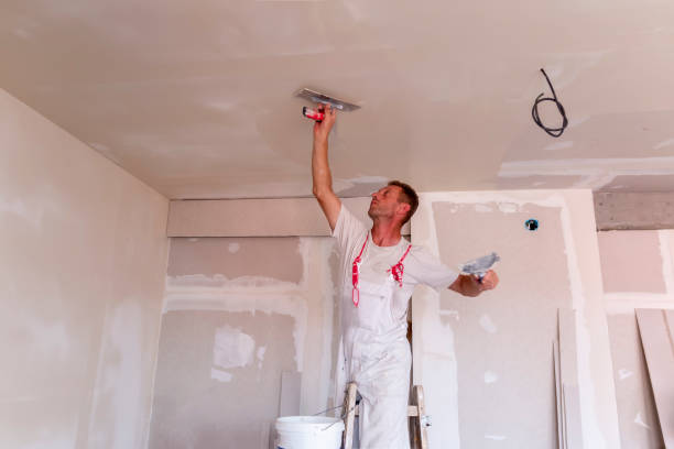 Best Touch-Up Painting  in Independence, LA